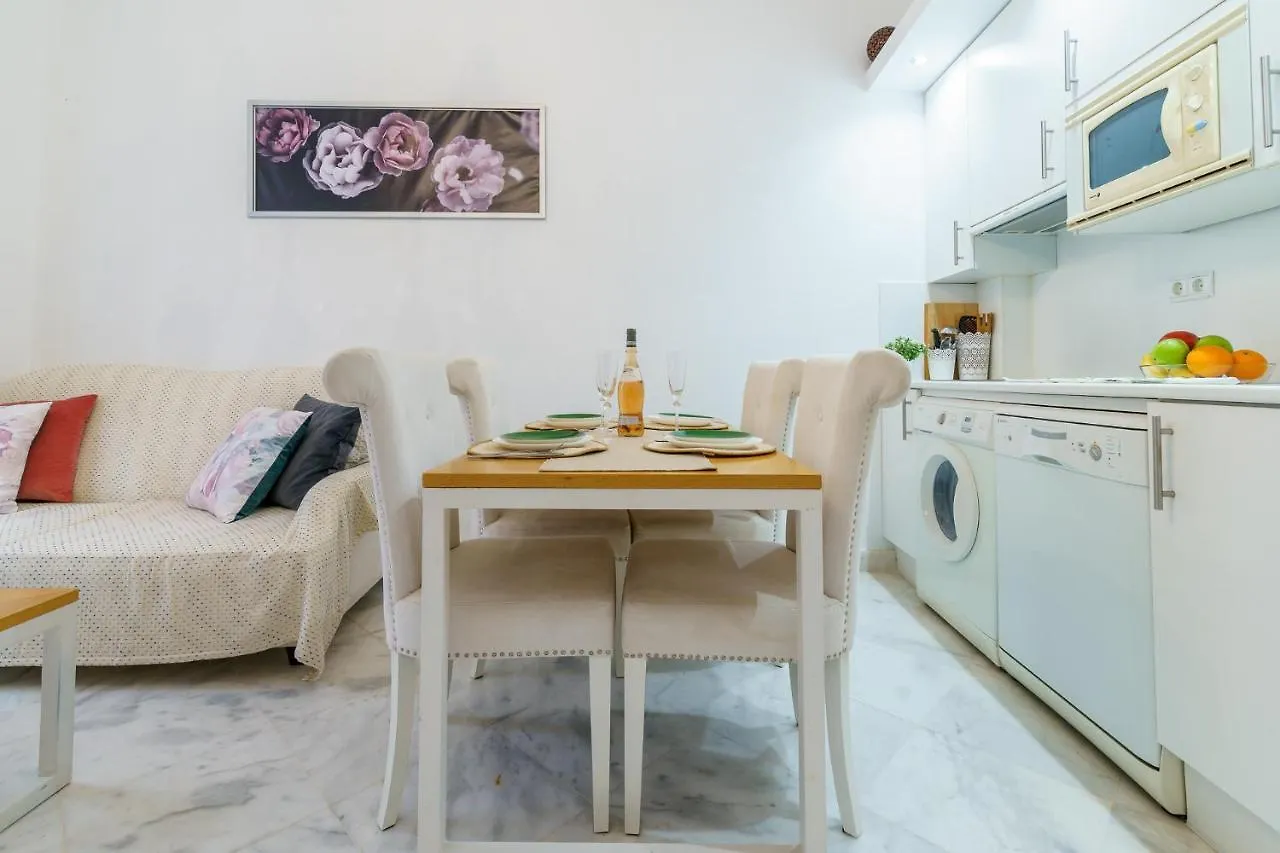 Apartment Malagasuite City Center Malaga