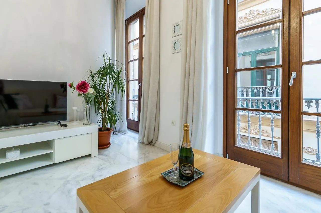 Apartment Malagasuite City Center Malaga Spain